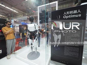 Visitors view a ''Tesla humanoid robot'' at the 2024 World Robot Conference in Beijing, China, on August 22, 2024. (