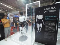 Visitors view a ''Tesla humanoid robot'' at the 2024 World Robot Conference in Beijing, China, on August 22, 2024. (