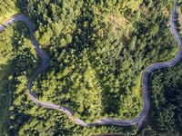 An aerial photo shows a rural road in Baidao village, Congjiang county, in Congjiang, China, on August 22, 2024. (