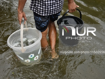 People wade through floodwater in Feni, Chittagong, Bangladesh, on August 23, 2024. (