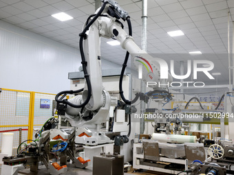 A robot produces a reverse osmosis membrane on a production line at the digital intelligent production workshop of Fujian Huameo Environment...