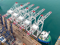 The first five ultra-large shore cranes are sent to Egypt at the West Coast New Area in Qingdao, Shandong province, China, on August 23, 202...