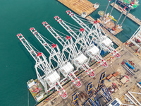 The first five ultra-large shore cranes are sent to Egypt at the West Coast New Area in Qingdao, Shandong province, China, on August 23, 202...