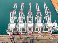 The first five ultra-large shore cranes are sent to Egypt at the West Coast New Area in Qingdao, Shandong province, China, on August 23, 202...