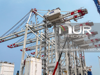 The first five ultra-large shore cranes are sent to Egypt at the West Coast New Area in Qingdao, Shandong province, China, on August 23, 202...