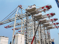 The first five ultra-large shore cranes are sent to Egypt at the West Coast New Area in Qingdao, Shandong province, China, on August 23, 202...