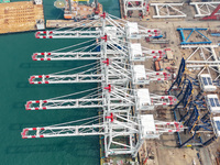 The first five ultra-large shore cranes are sent to Egypt at the West Coast New Area in Qingdao, Shandong province, China, on August 23, 202...