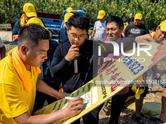 Farmers plant ''yellow golden 823'' corn with a yield of 1,904.6 jin per mu in Anyang, China, on August 23, 2024. (