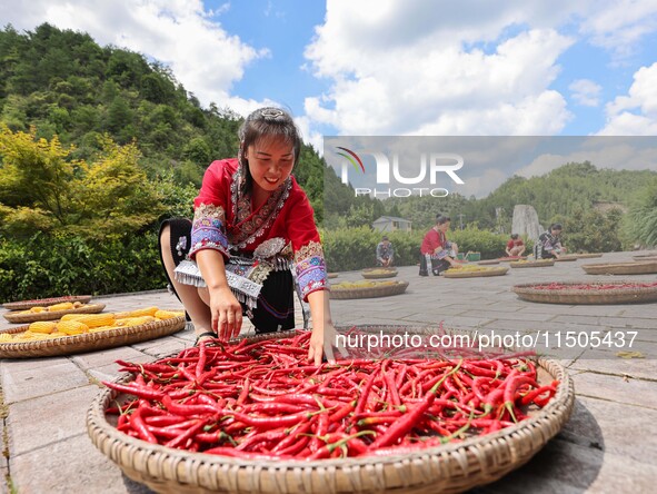 Villagers dry chili peppers and corn in Miaoluo village in Qiandongnan Miao and Dong autonomous Prefecture in Qiandongnan, China, on August...