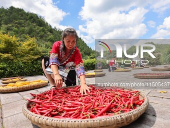 Villagers dry chili peppers and corn in Miaoluo village in Qiandongnan Miao and Dong autonomous Prefecture in Qiandongnan, China, on August...