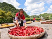 Villagers dry chili peppers and corn in Miaoluo village in Qiandongnan Miao and Dong autonomous Prefecture in Qiandongnan, China, on August...