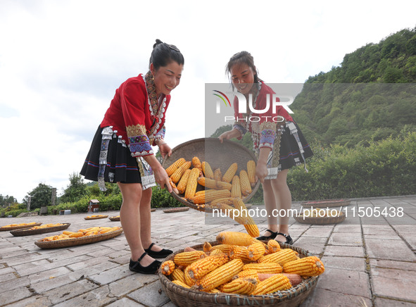 Villagers dry chili peppers and corn in Miaoluo village in Qiandongnan Miao and Dong autonomous Prefecture in Qiandongnan, China, on August...