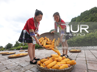 Villagers dry chili peppers and corn in Miaoluo village in Qiandongnan Miao and Dong autonomous Prefecture in Qiandongnan, China, on August...