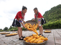 Villagers dry chili peppers and corn in Miaoluo village in Qiandongnan Miao and Dong autonomous Prefecture in Qiandongnan, China, on August...