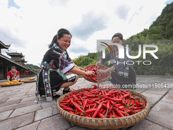 Villagers dry chili peppers and corn in Miaoluo village in Qiandongnan Miao and Dong autonomous Prefecture in Qiandongnan, China, on August...