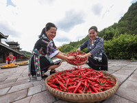 Villagers dry chili peppers and corn in Miaoluo village in Qiandongnan Miao and Dong autonomous Prefecture in Qiandongnan, China, on August...