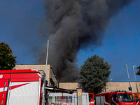 A fire breaks out at dawn on Saturday, August 24, in a food company in Pozzuoli, in the province of Naples. The blaze, still ongoing at arou...