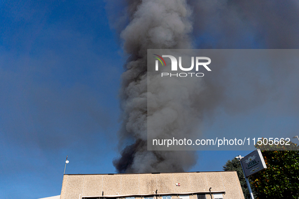 A fire breaks out at dawn on Saturday, August 24, in a food company in Pozzuoli, in the province of Naples. The blaze, still ongoing at arou...