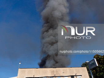 A fire breaks out at dawn on Saturday, August 24, in a food company in Pozzuoli, in the province of Naples. The blaze, still ongoing at arou...