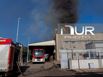 A fire breaks out at dawn on Saturday, August 24, in a food company in Pozzuoli, in the province of Naples. The blaze, still ongoing at arou...