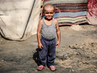 A displaced Palestinian boy stands outside his family's tent at a makeshift displacement camp in Deir el-Balah, Gaza Strip, on August 24, 20...