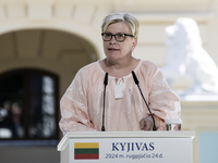 Lithuanian Prime Minister Ingrida Simonyte speaks during a joint press conference with Ukraine's President Volodymyr Zelenskiy and Polish Pr...