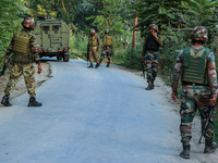 Indian Army soldiers stand alert after an encounter breaks out between militants and security forces in which one militant is killed in Wate...