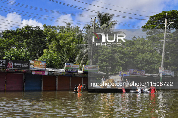 Volunteers wade through floodwaters to transport relief material for flood-affected people in Feni district in Chittagong division, Banglade...