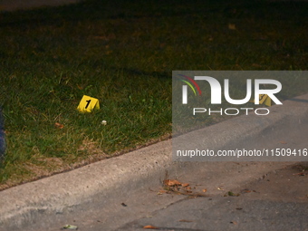 A 21-year-old male victim is shot numerous times on the 7200 block of S. Washtenaw Avenue in Chicago, Illinois, United States, on August 24,...