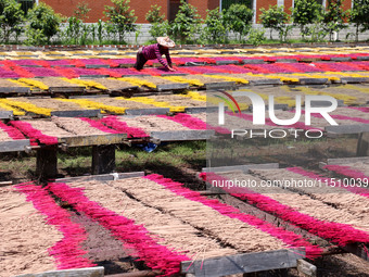 A worker dries incense on the drying field of a fragrance-making enterprise in Quanzhou, China, on August 25, 2024. (