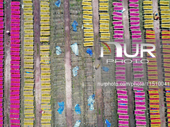 A worker dries incense on the drying field of a fragrance-making enterprise in Quanzhou, China, on August 25, 2024. (