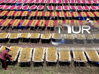 A worker dries incense on the drying field of a fragrance-making enterprise in Quanzhou, China, on August 25, 2024. (