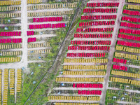 A worker dries incense on the drying field of a fragrance-making enterprise in Quanzhou, China, on August 25, 2024. (