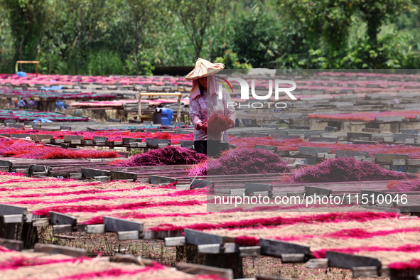 A worker dries incense on the drying field of a fragrance-making enterprise in Quanzhou, China, on August 25, 2024. 