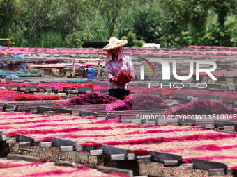 A worker dries incense on the drying field of a fragrance-making enterprise in Quanzhou, China, on August 25, 2024. (