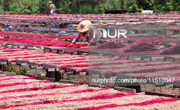 A worker dries incense on the drying field of a fragrance-making enterprise in Quanzhou, China, on August 25, 2024. 