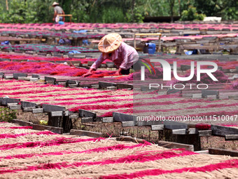 A worker dries incense on the drying field of a fragrance-making enterprise in Quanzhou, China, on August 25, 2024. (