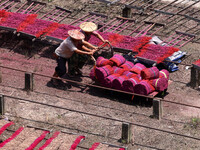 A worker dries incense on the drying field of a fragrance-making enterprise in Quanzhou, China, on August 25, 2024. (