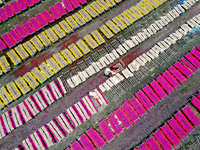 A worker dries incense on the drying field of a fragrance-making enterprise in Quanzhou, China, on August 25, 2024. (