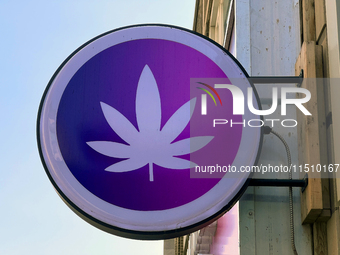 A sign on a shop selling cannabis and marijuana paraphernalia in downtown Toronto, Ontario, Canada, on August 14, 2024. (