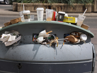 An overflowing garage can in Toronto, Ontario, Canada, on August 24, 2024. (