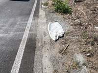 An eight-year-old girl dies at dawn on Sunday, August 25, when the car she travels in with three other people overturns in the area of Giugl...