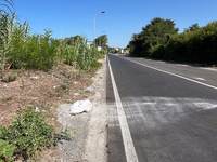 An eight-year-old girl dies at dawn on Sunday, August 25, when the car she travels in with three other people overturns in the area of Giugl...