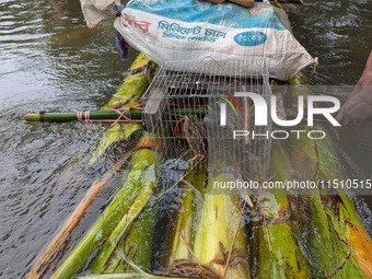 People wade with their pet cat through floodwaters in Feni, Bangladesh, on August 25, 2024. (