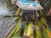 People wade with their pet cat through floodwaters in Feni, Bangladesh, on August 25, 2024. (