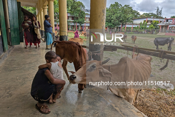 Children play with domestics in a flood shelter camp in Feni, Bangladesh, on August 25, 2024. 