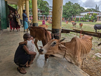 Children play with domestics in a flood shelter camp in Feni, Bangladesh, on August 25, 2024. (