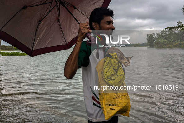 A man wades with his pet cat through floodwaters in Feni, Bangladesh, on August 25, 2024. 