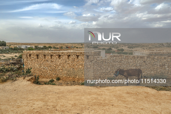 A landscape view of a small village in a rural area in Kairouan, Tunisia, on May 6, 2024. The region of Kairouan faces water stress, leading...