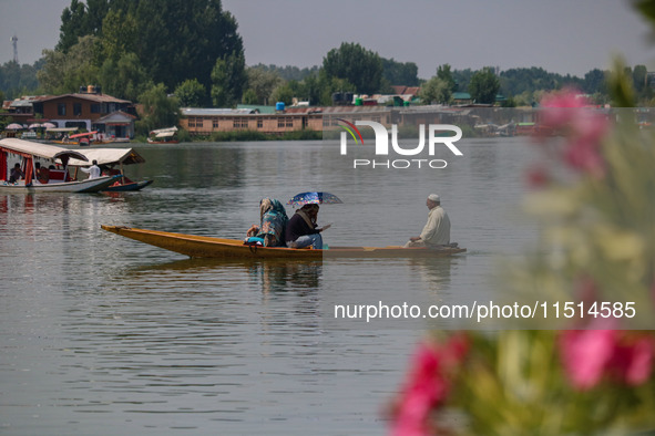 A man rows a boat on the waters of Dal Lake in Srinagar, Jammu and Kashmir, on August 26, 2024 